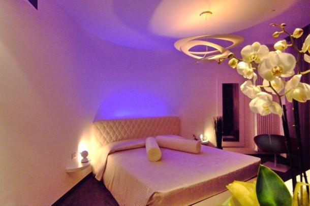 Design Suite טיראנו מראה חיצוני תמונה